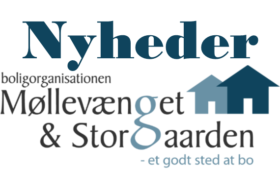 Nyheder MS.png (2)